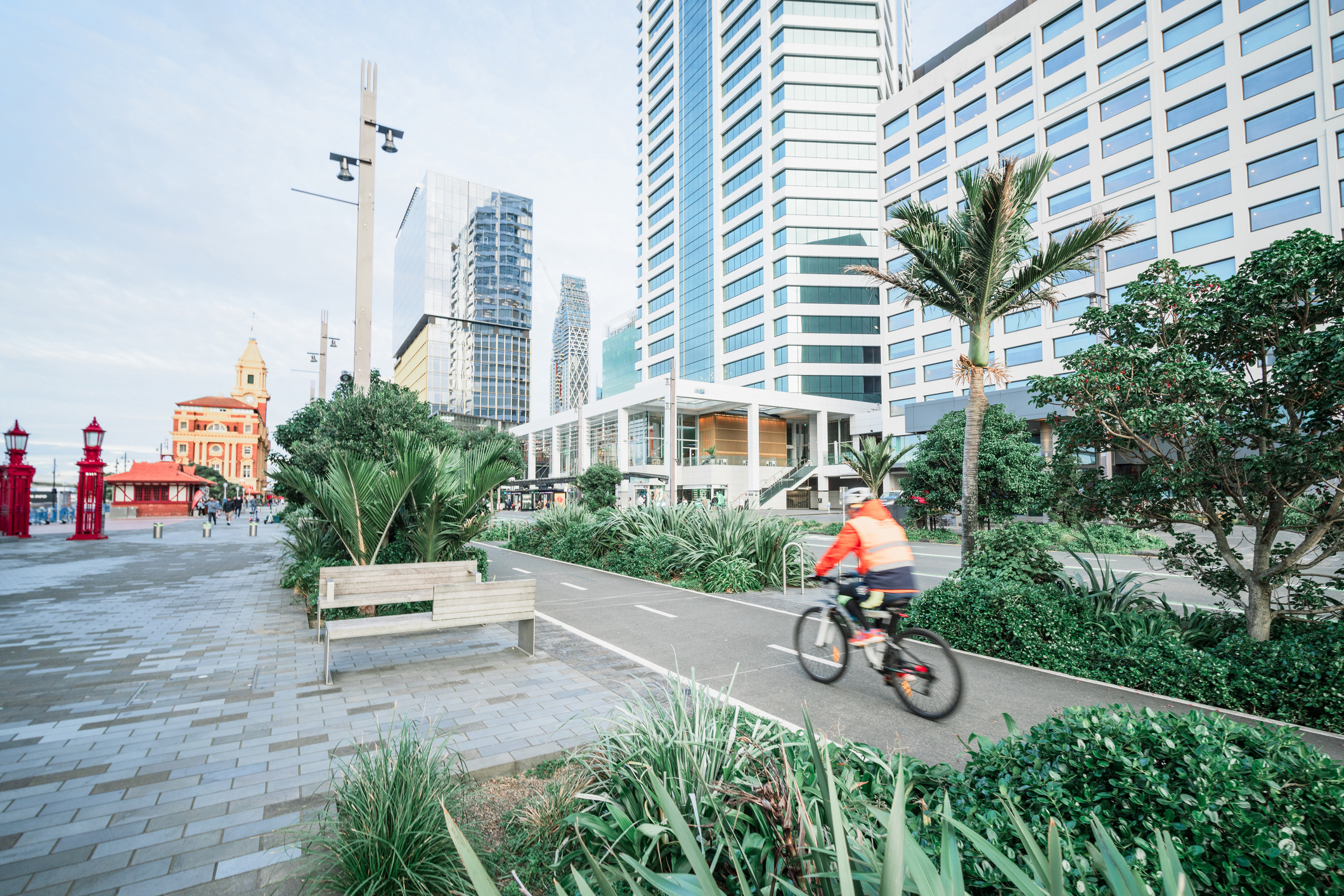 Image of cyclist in Auckland