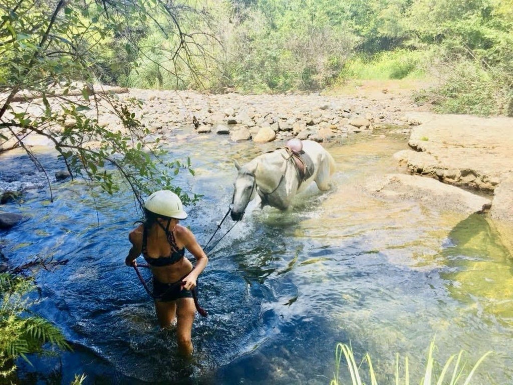 There are numerous natural swimming pools within reach, including some within walking distance of the hoouse. Photo: Pete May