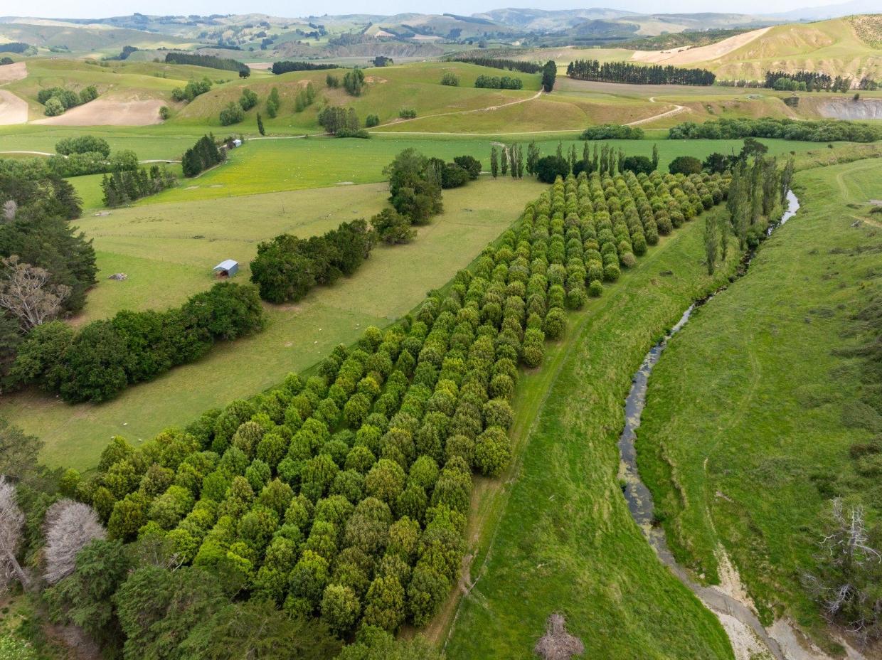 There is a truffle orchard on the estate, which supplies truffles to the lodge's kitchens.
