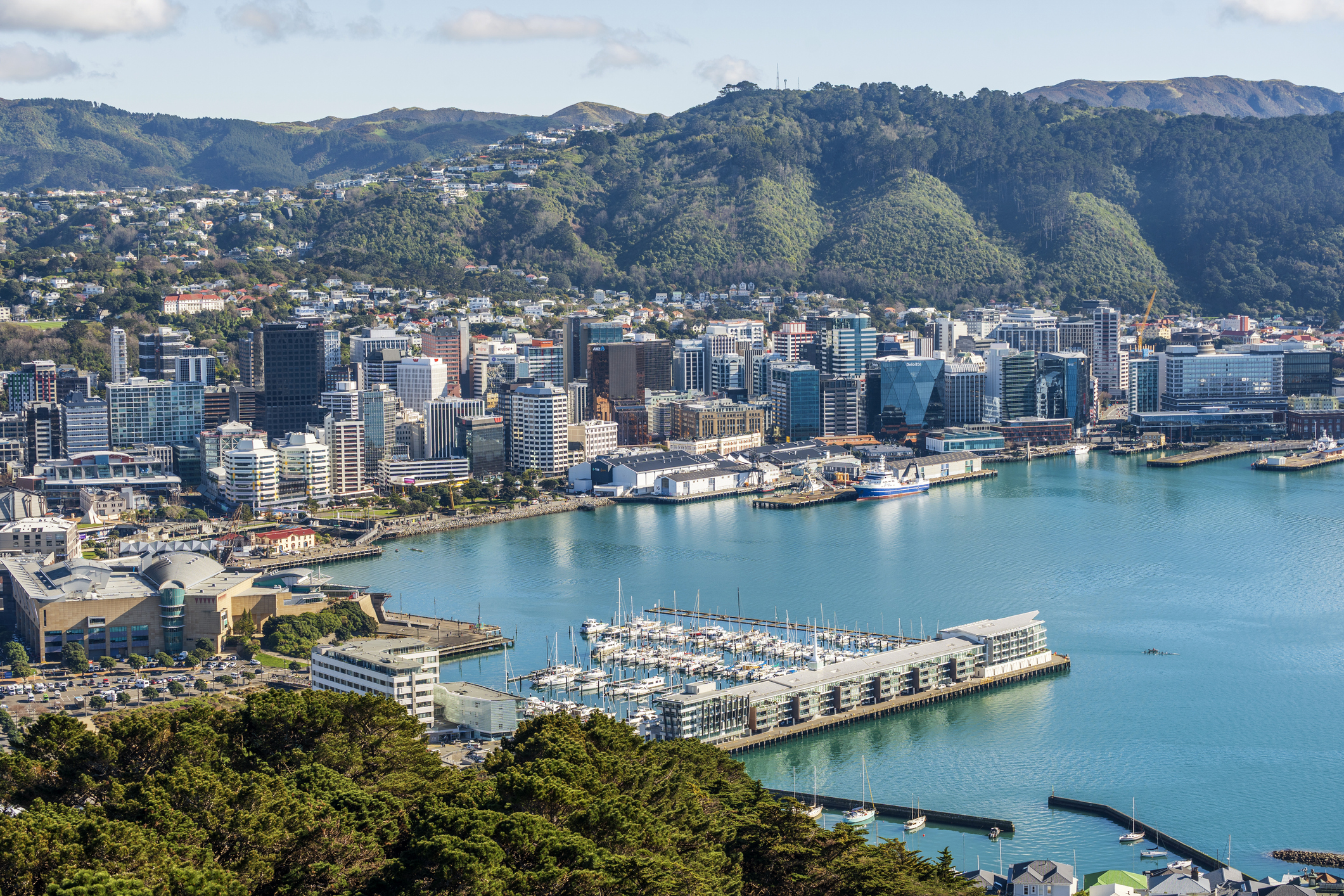 Wellington harbour