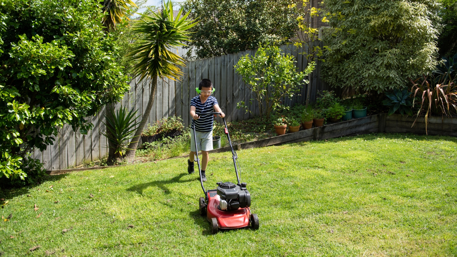 Boy mowing lawn. 