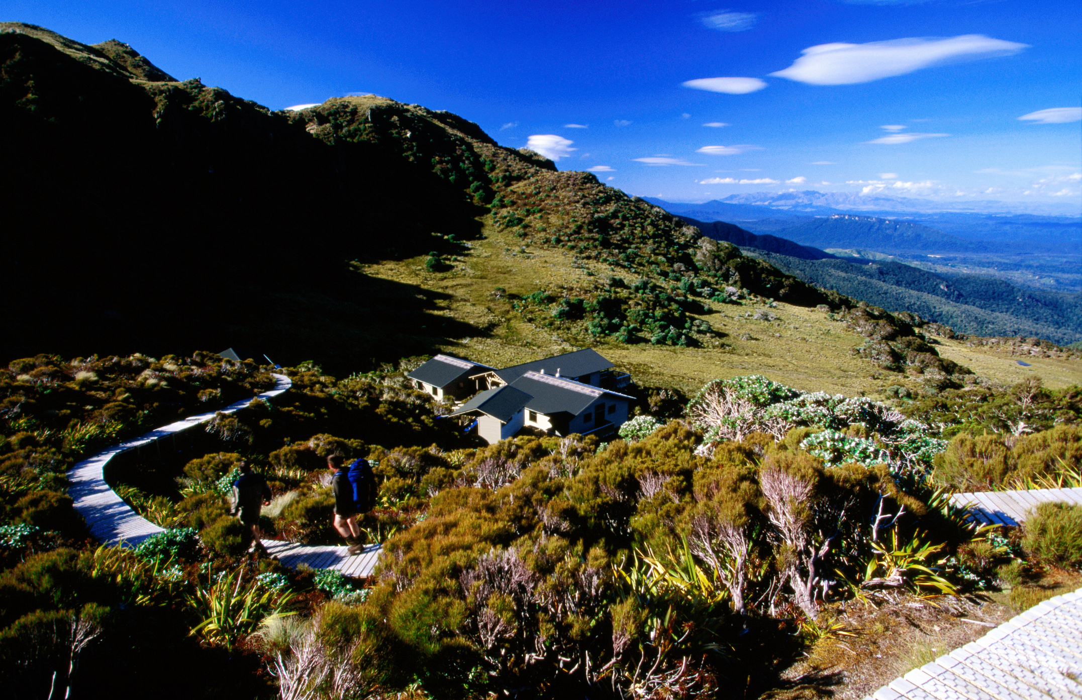 Hump Ridge Track