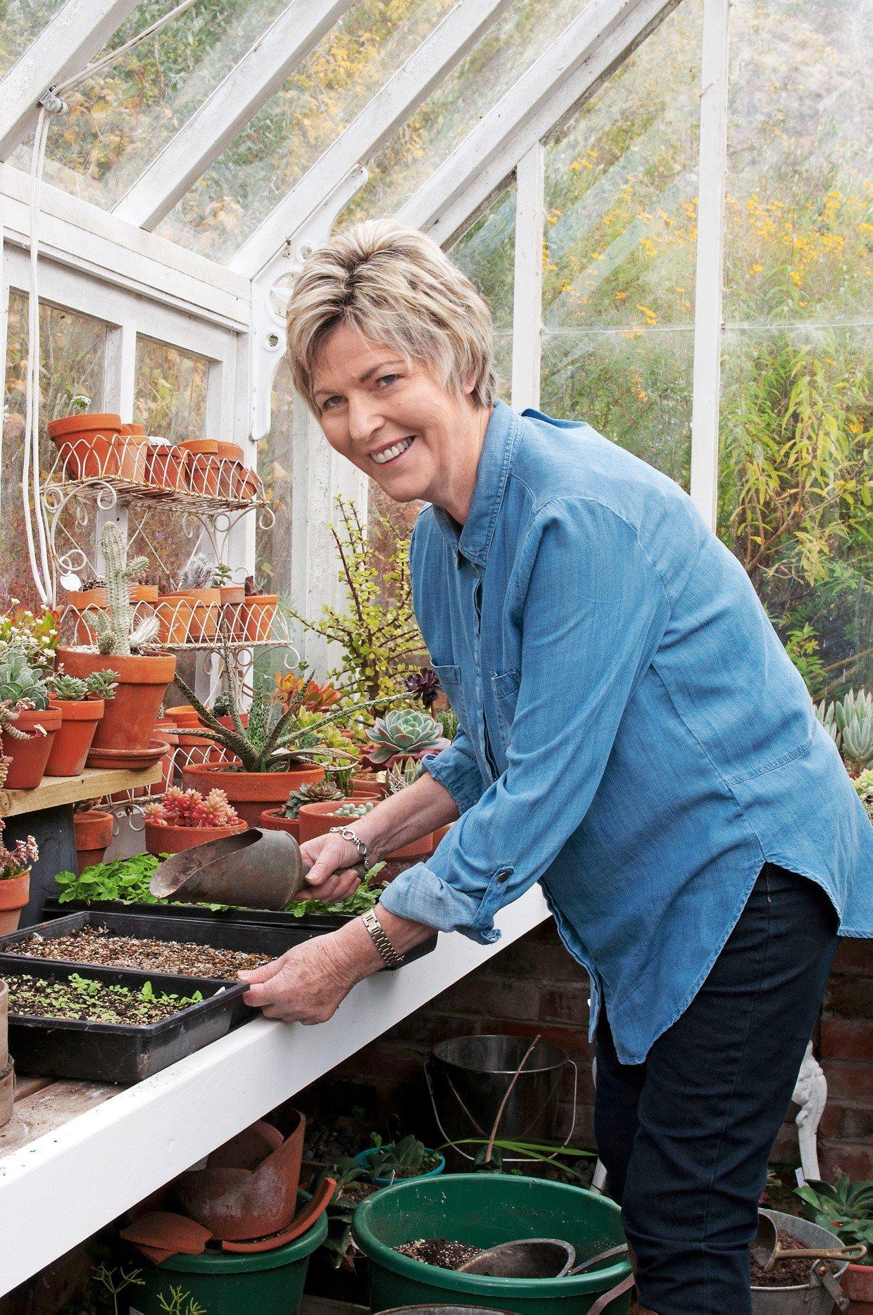 Previous owner gardening in the gorgeous glasshouse. 