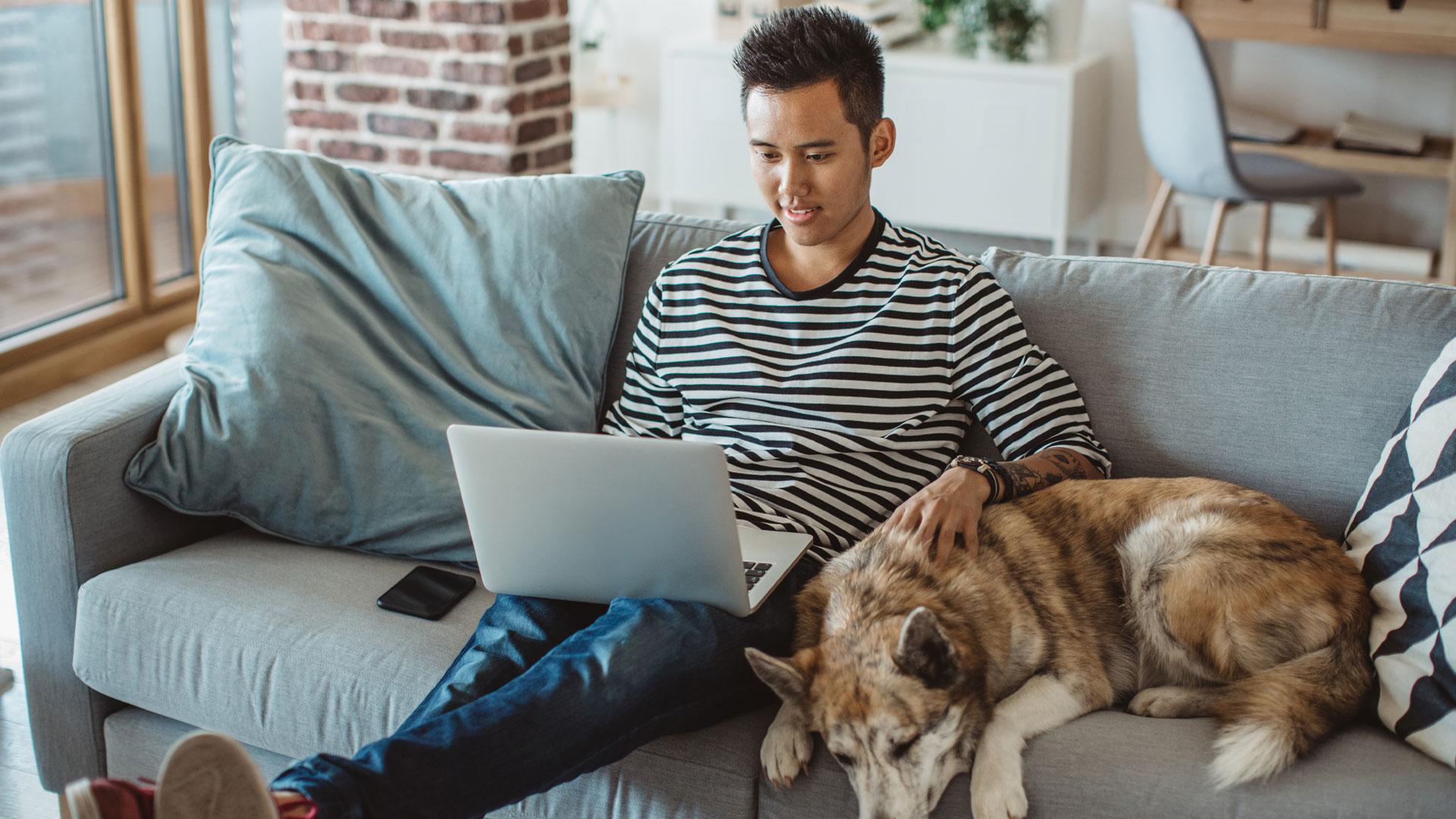 Young man sitting on a sofa with his dog scrolling through listings on Trade Me Jobs on his laptop.