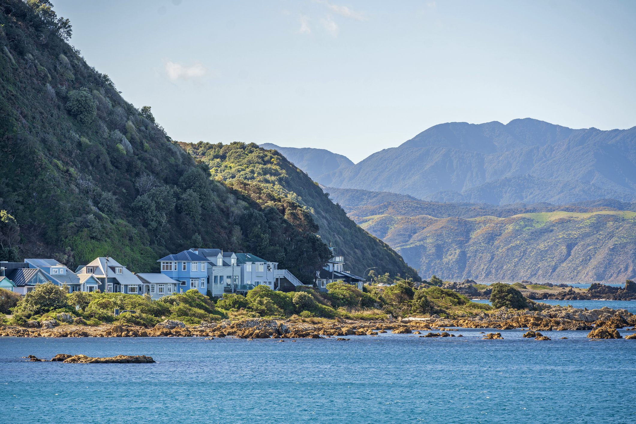 Island Bay houses