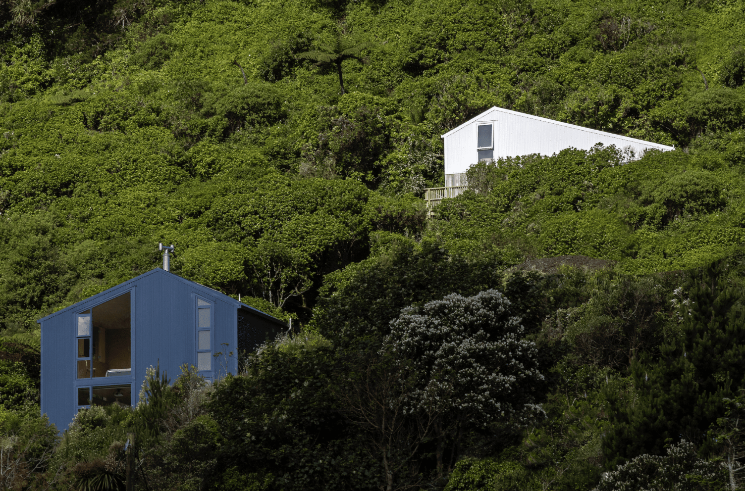 Two modern houses, one blue and one white, nestled amidst lush greenery on a hillside.