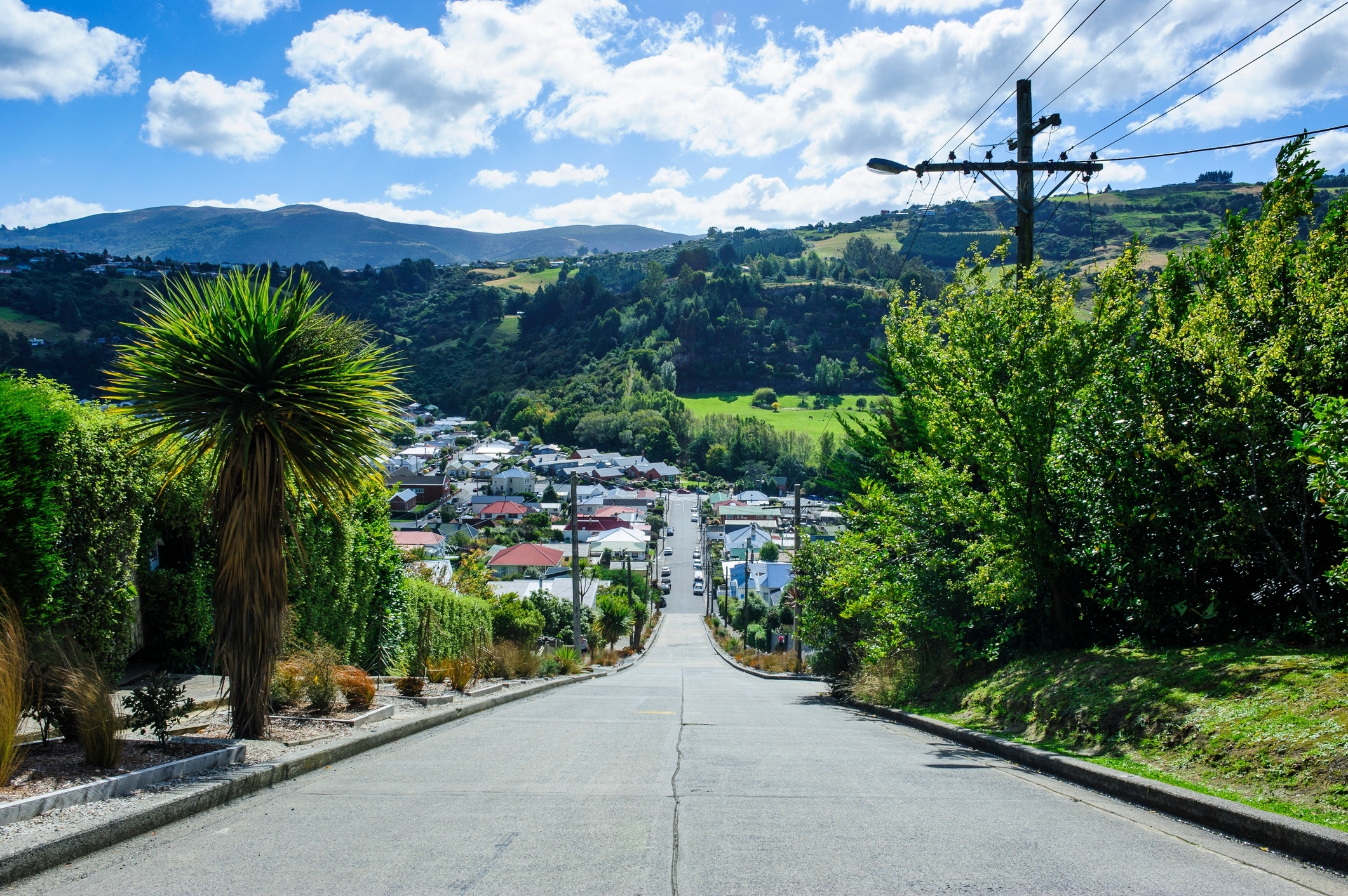 Aerial view of houses in New Zealand