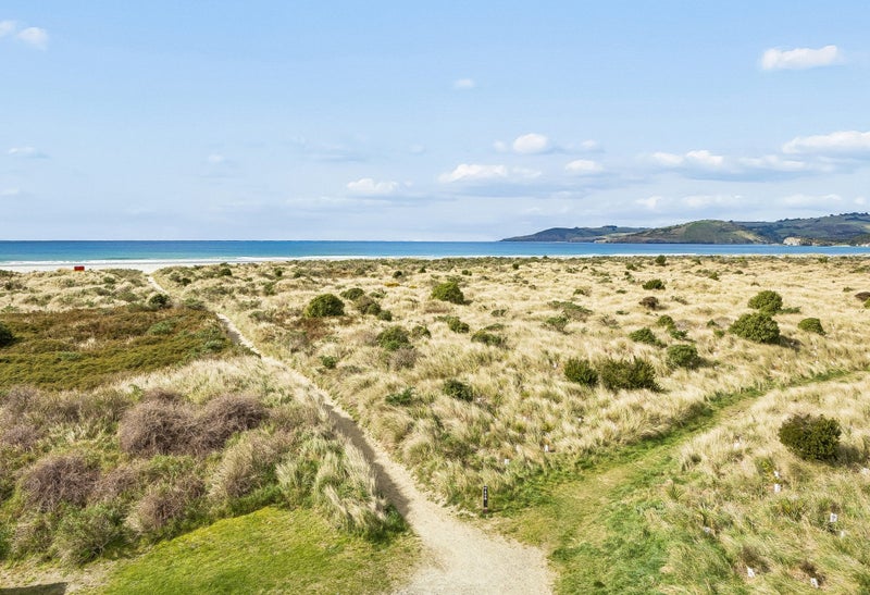 Campbell says the dunes and the growth of marram grass have probably contributed to Warrington beach being “a couple of hundred metres” further out than it was in the 1960s. Photo: Nidd Realty