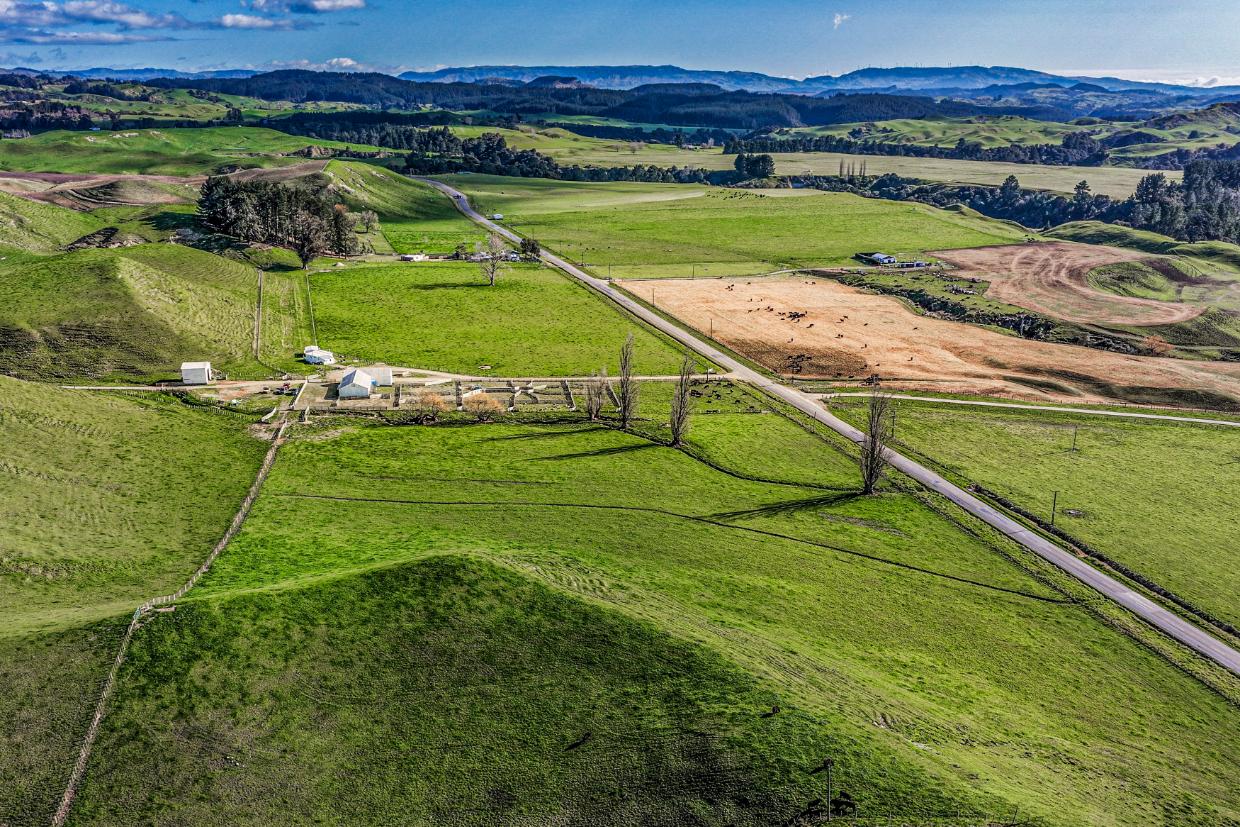 View of Hawke's Bay farm