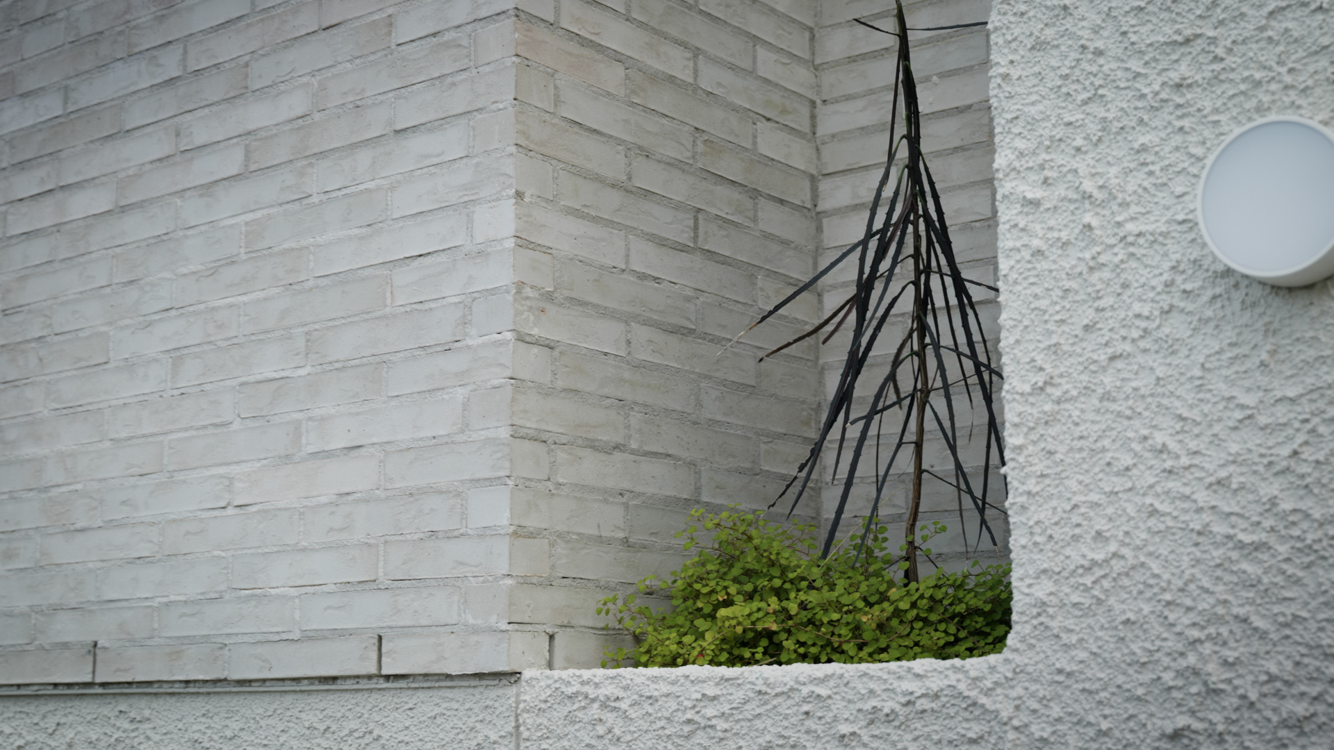 Textured Exterior Cladding