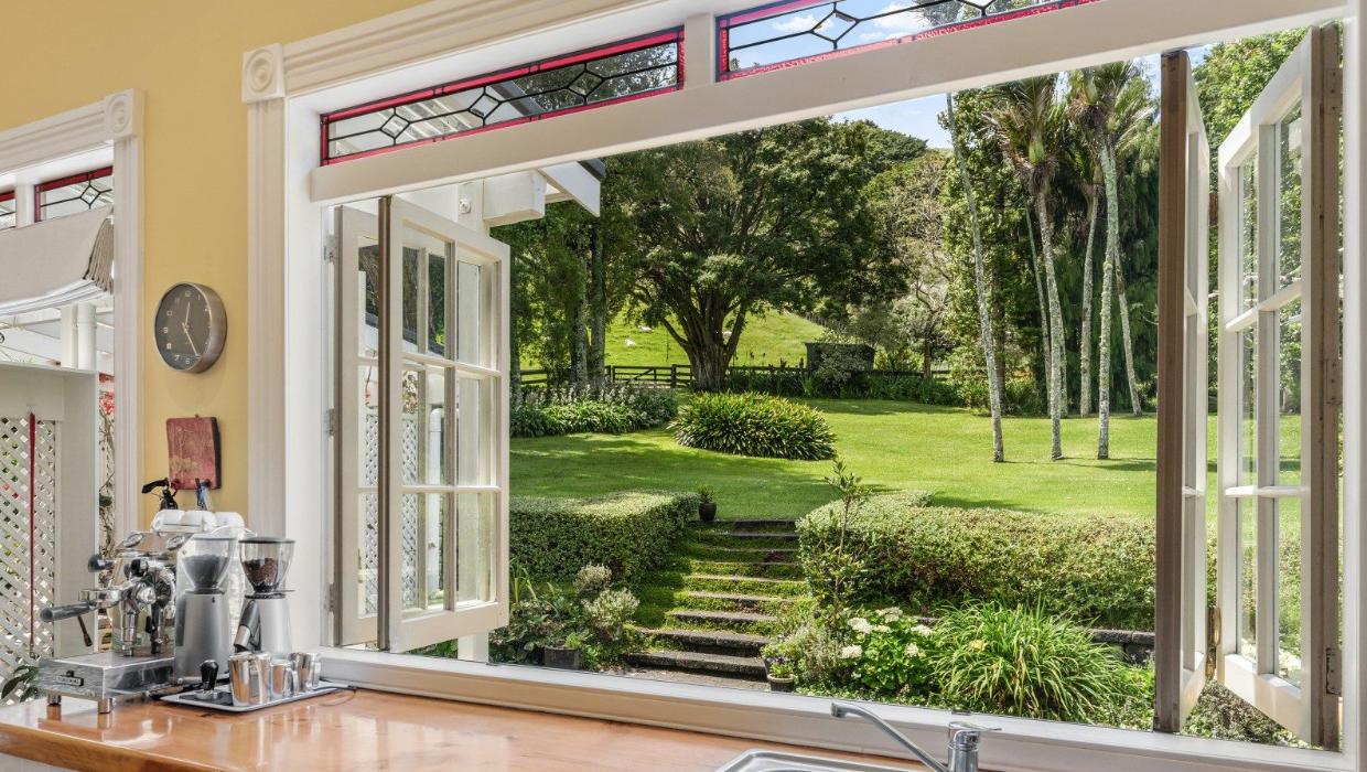 The view from the kitchen takes in the stand of mature nikau.
