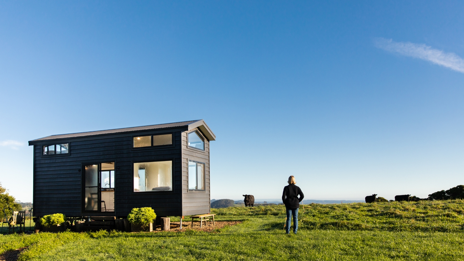 Tiny home on green field. 