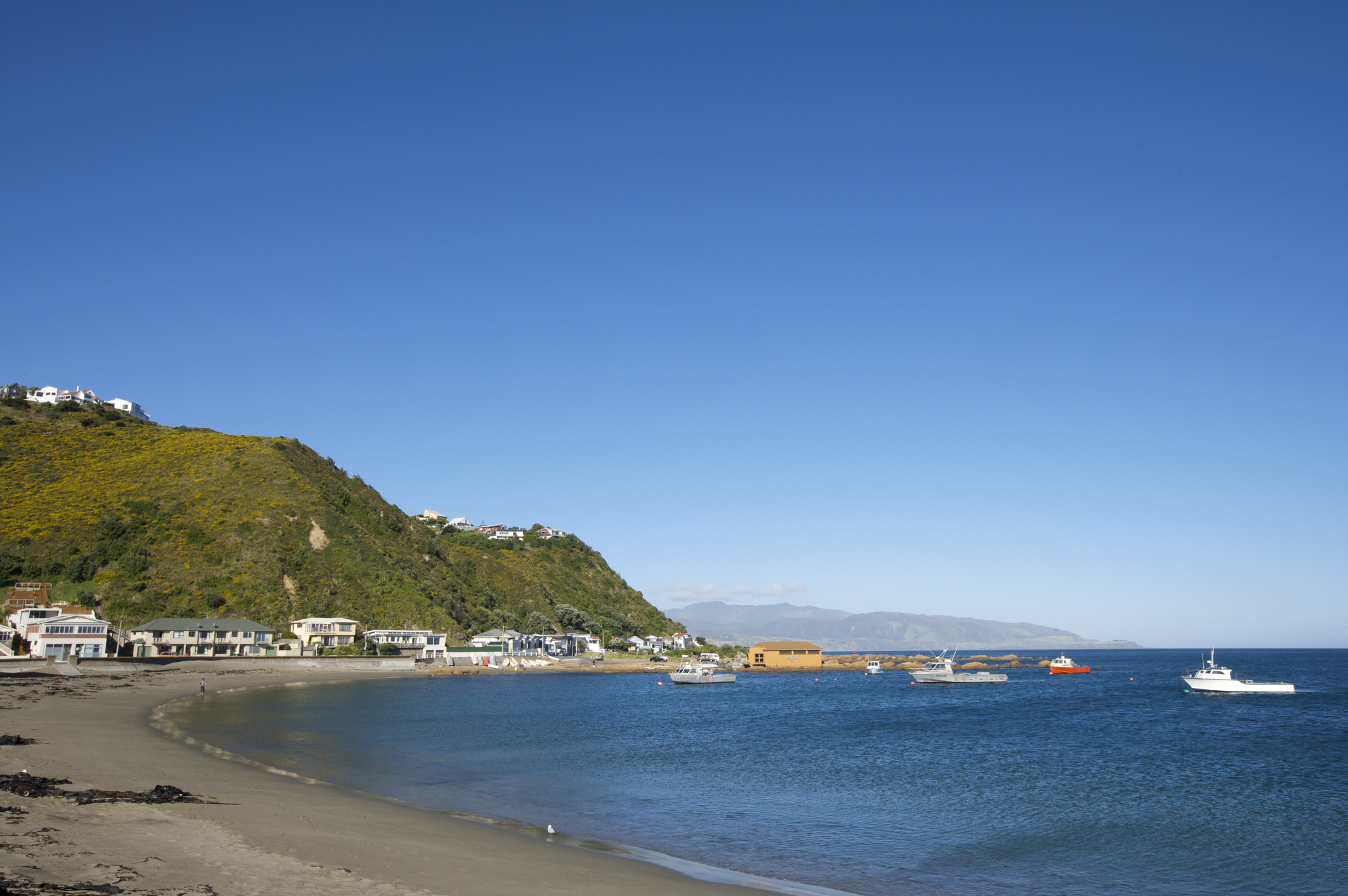 Island Bay from the beach