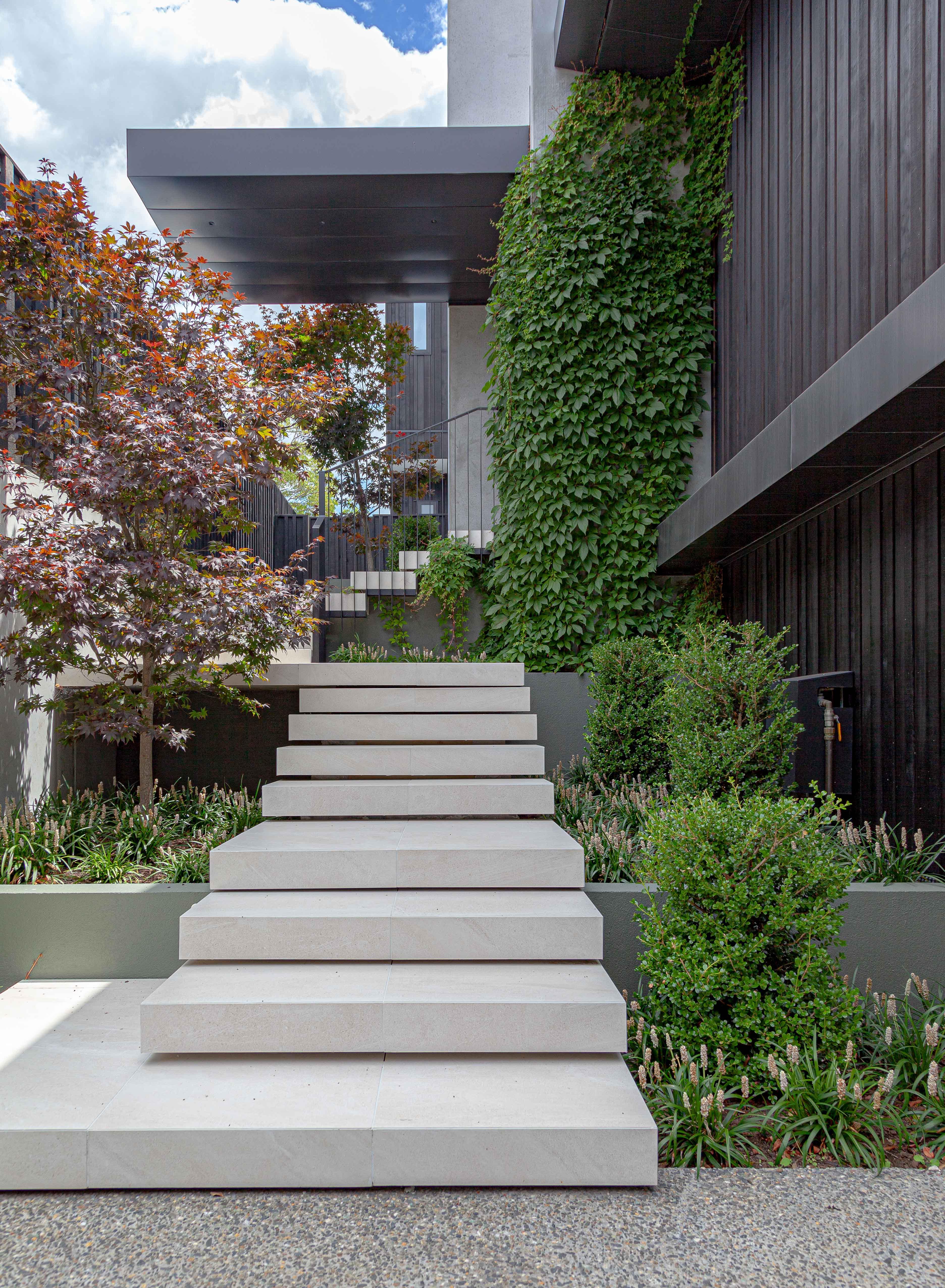 Floating concrete stairs flanked by pared back planting create instant street appeal at the entrance of this Remuera home by Jessop Architects, with landscaping by Jared Lockhard. Image - John Williams.