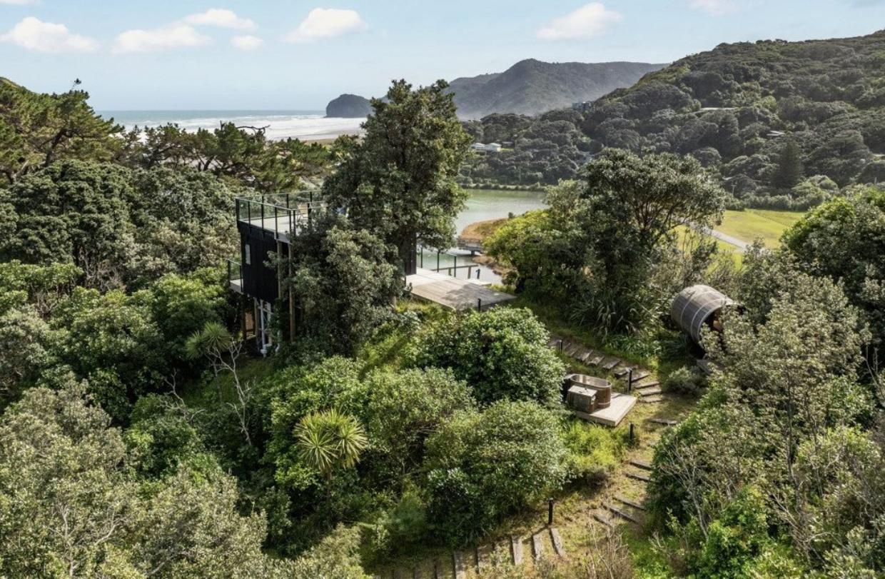Bush surrounding Piha house