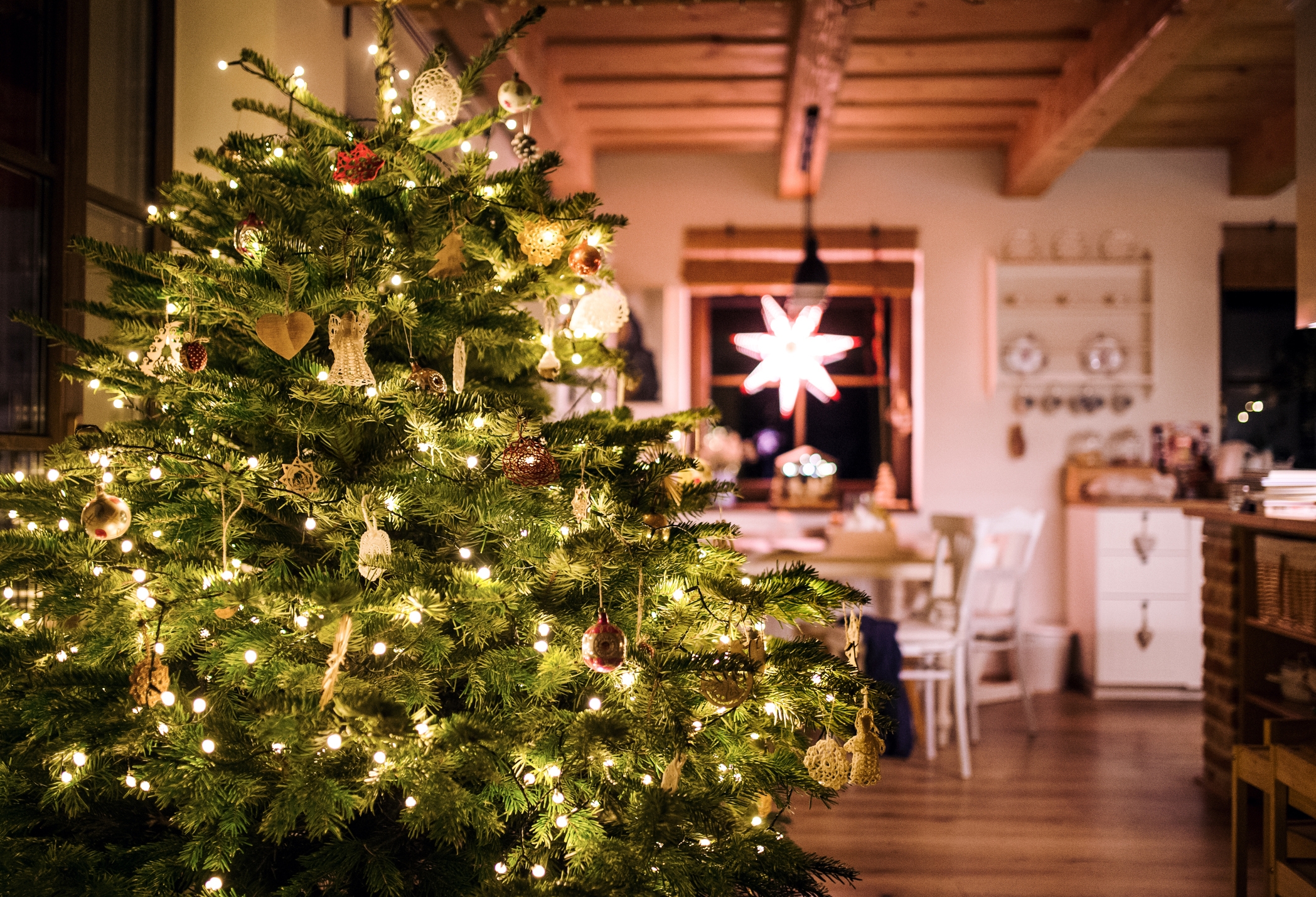 Real christmas tree with lights set up in the living room