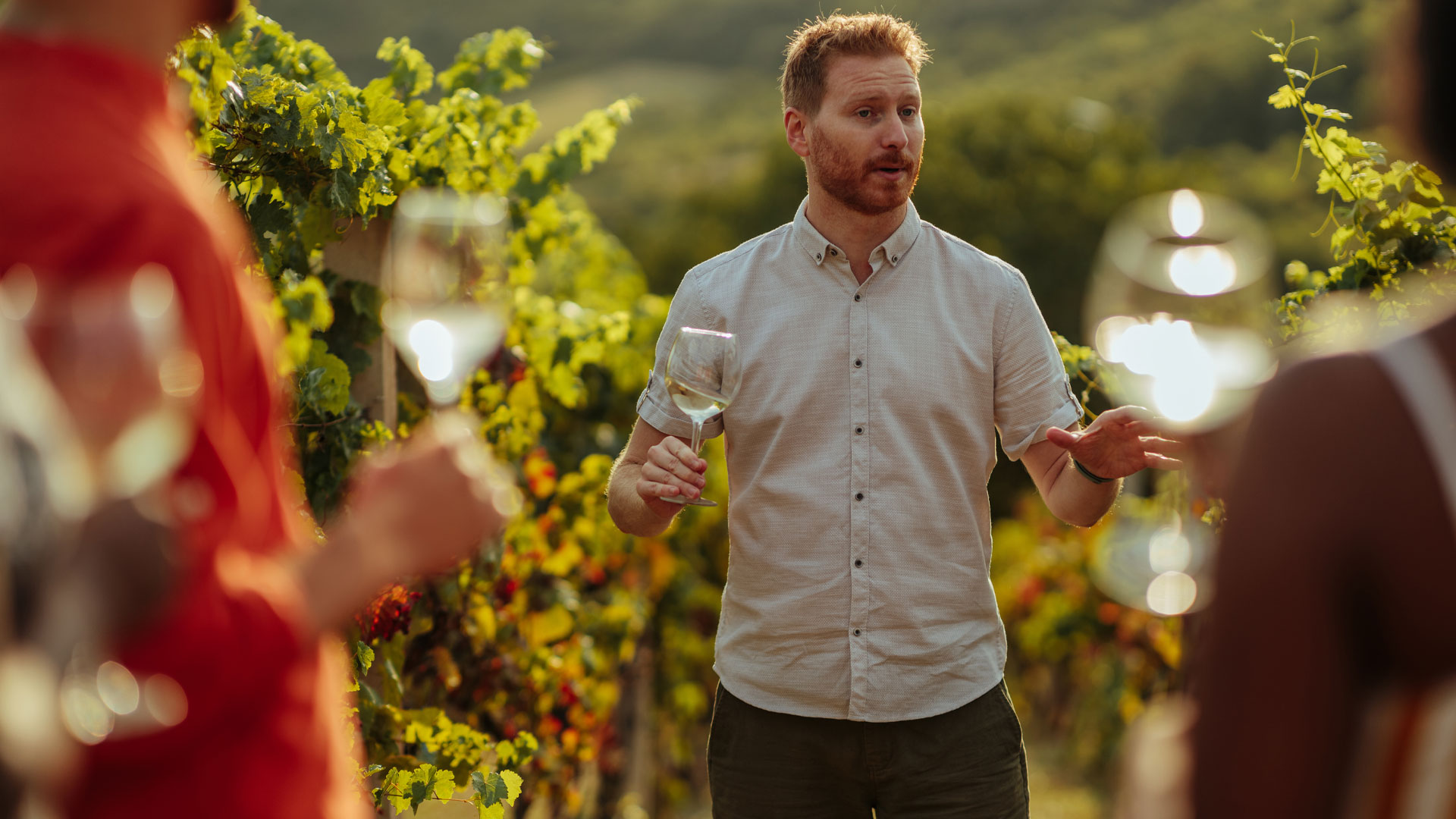 Employee at a vineyard in NZ giving a wine tour to customers.