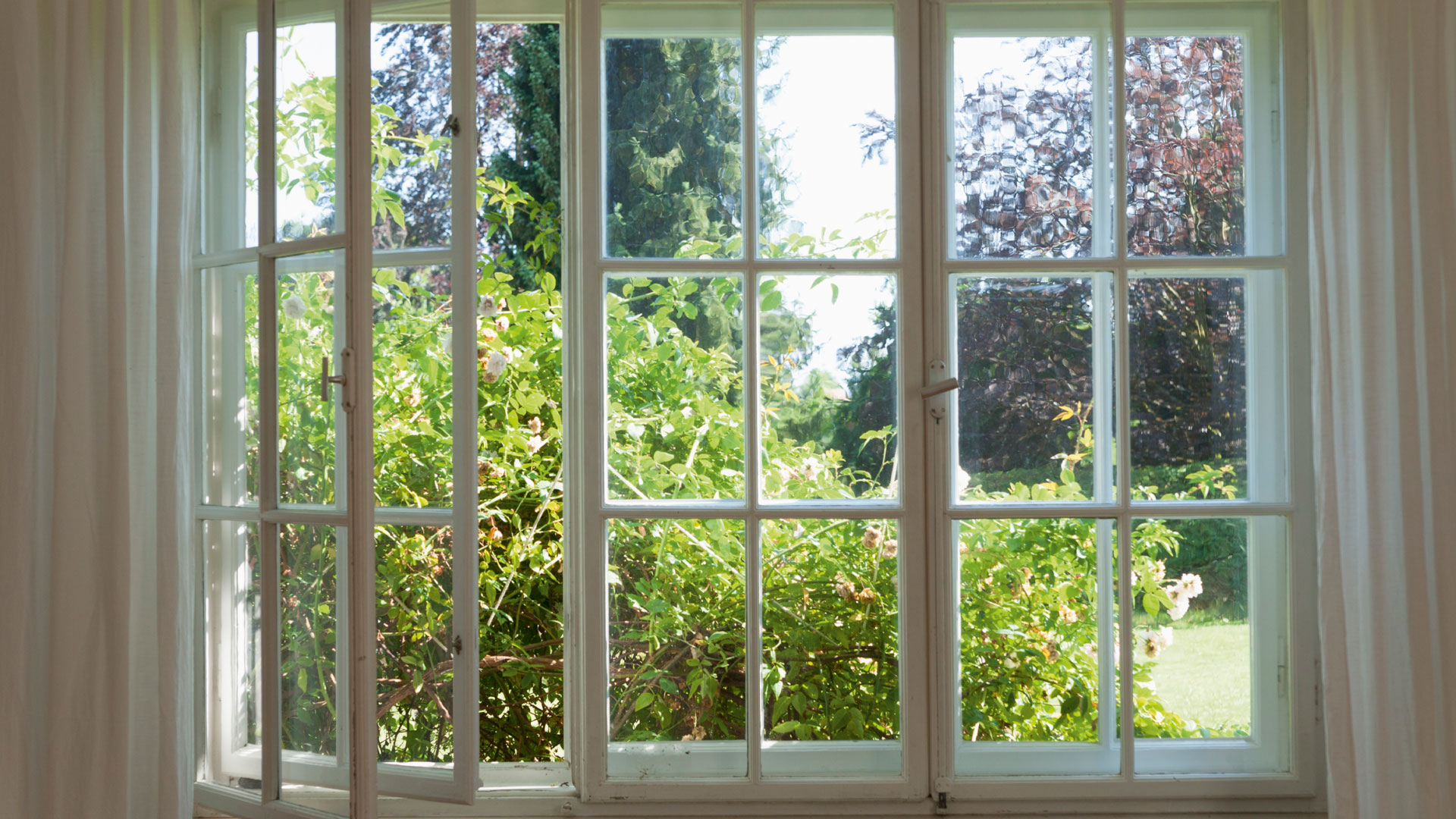 An open window in a NZ house looking out into a garden.