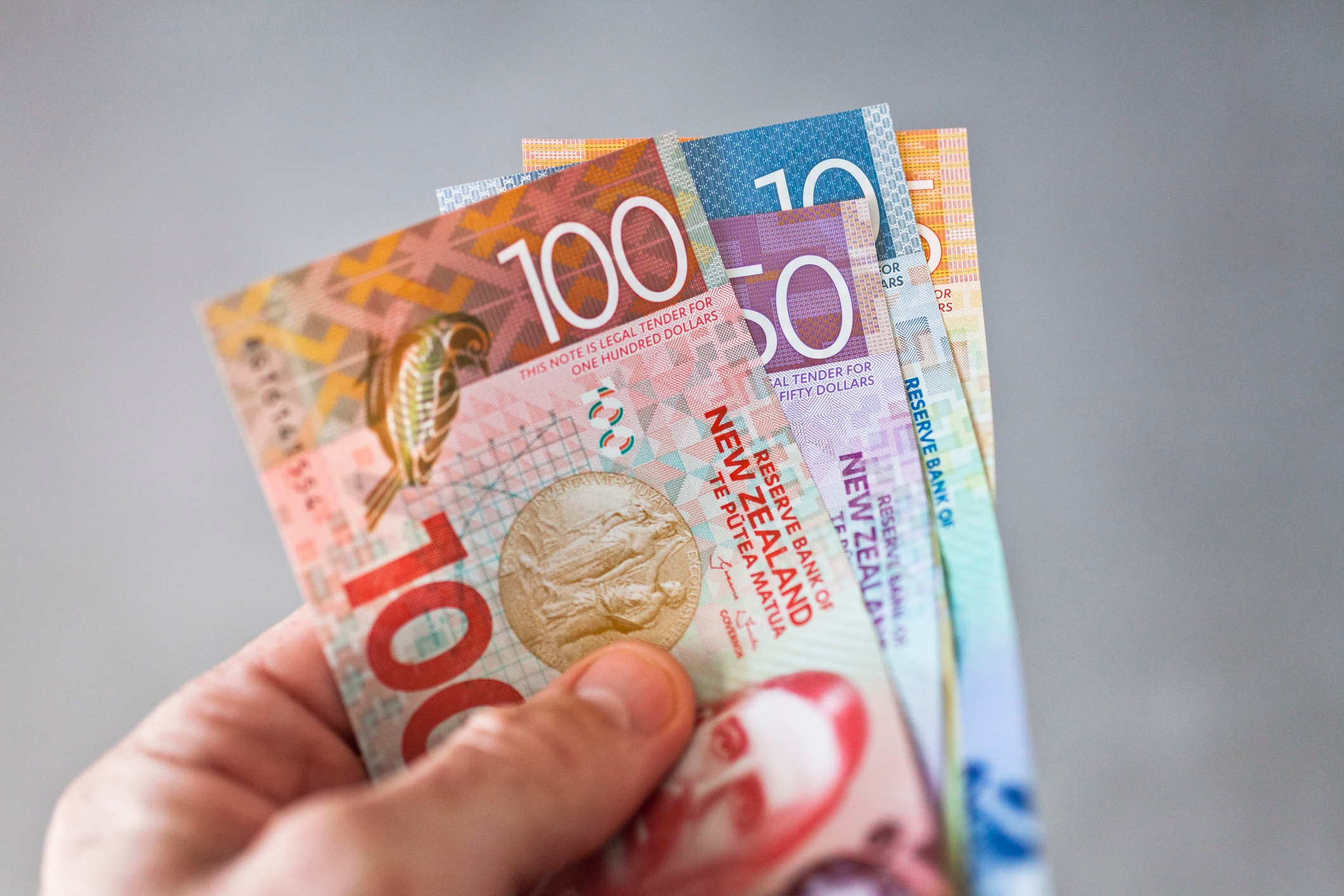 Person holding New Zealanfd dollars. 