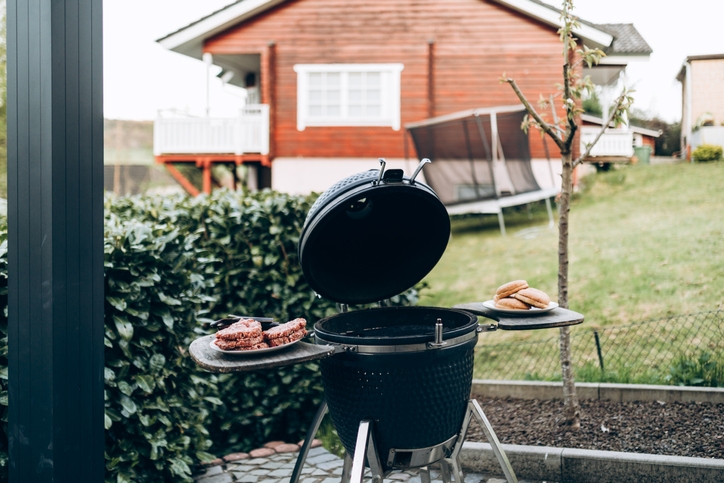 Best Backyard BBQs in NZ