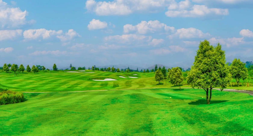 hole-7.jpg