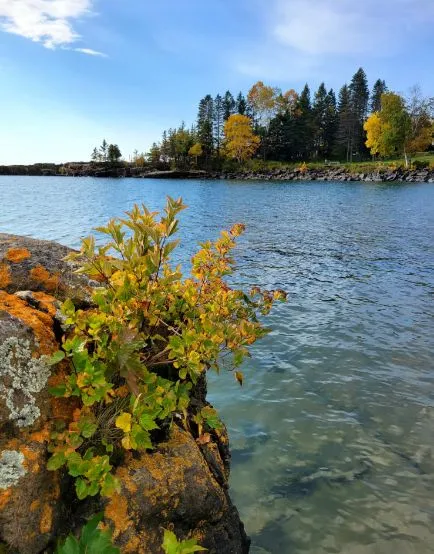 View of a lake on a sunny day with blue skies and trees