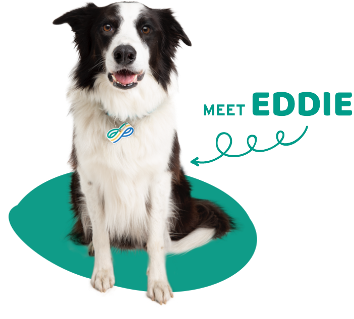 Meet Eddie