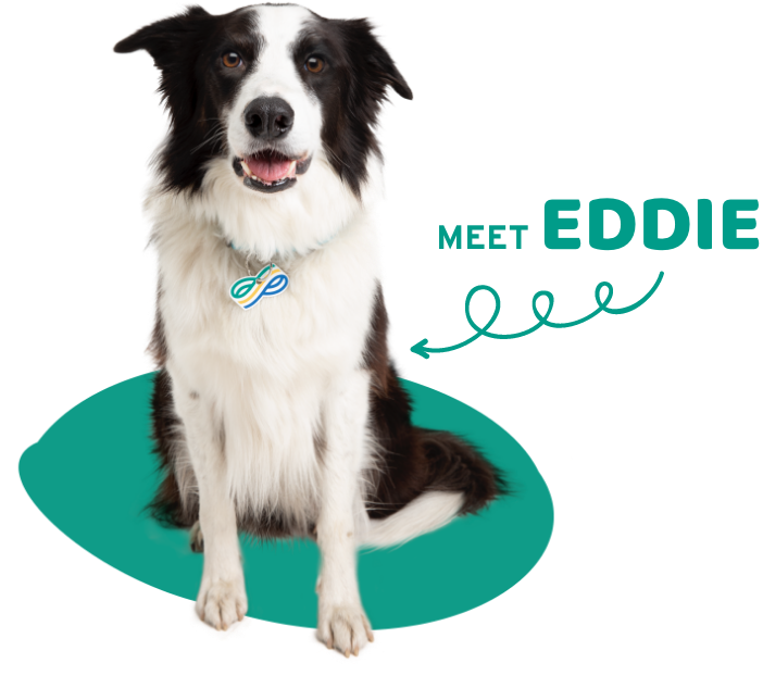 Meet Eddie