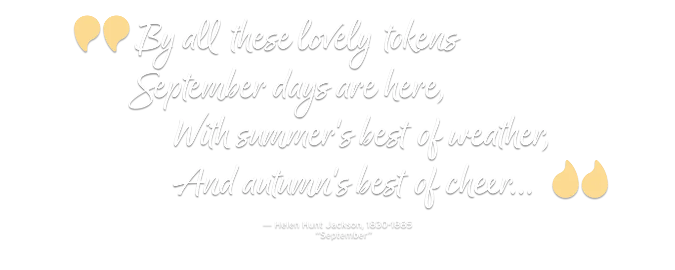 Summertime is always the best of what might be. - Charles Bowden, American nonfiction author, journalist and essayist