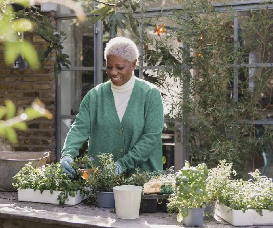 Middle age woman with short white hair wearing a white shirt and green sweater potting plants in a greenhouse