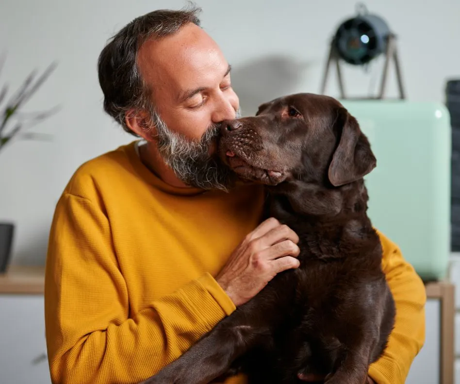 Man with graying beard in a mustard yellow sweatshirt hugging and kissing chocolate Labrador retriever