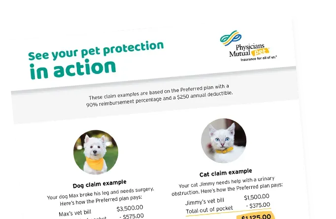 The Facts About Are You Having Trouble Affording Your Pet? Revealed thumbnail