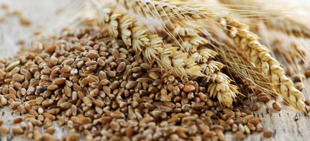 Cutting grains? Think again