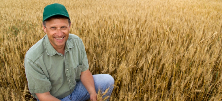 Farmer-in-Wheat-Field
