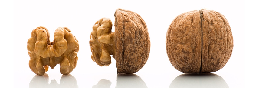 10 foods that boost your brain power!