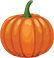 Pumpkin*