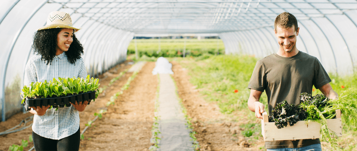 Article-Banner-Dimensions-(2) 1