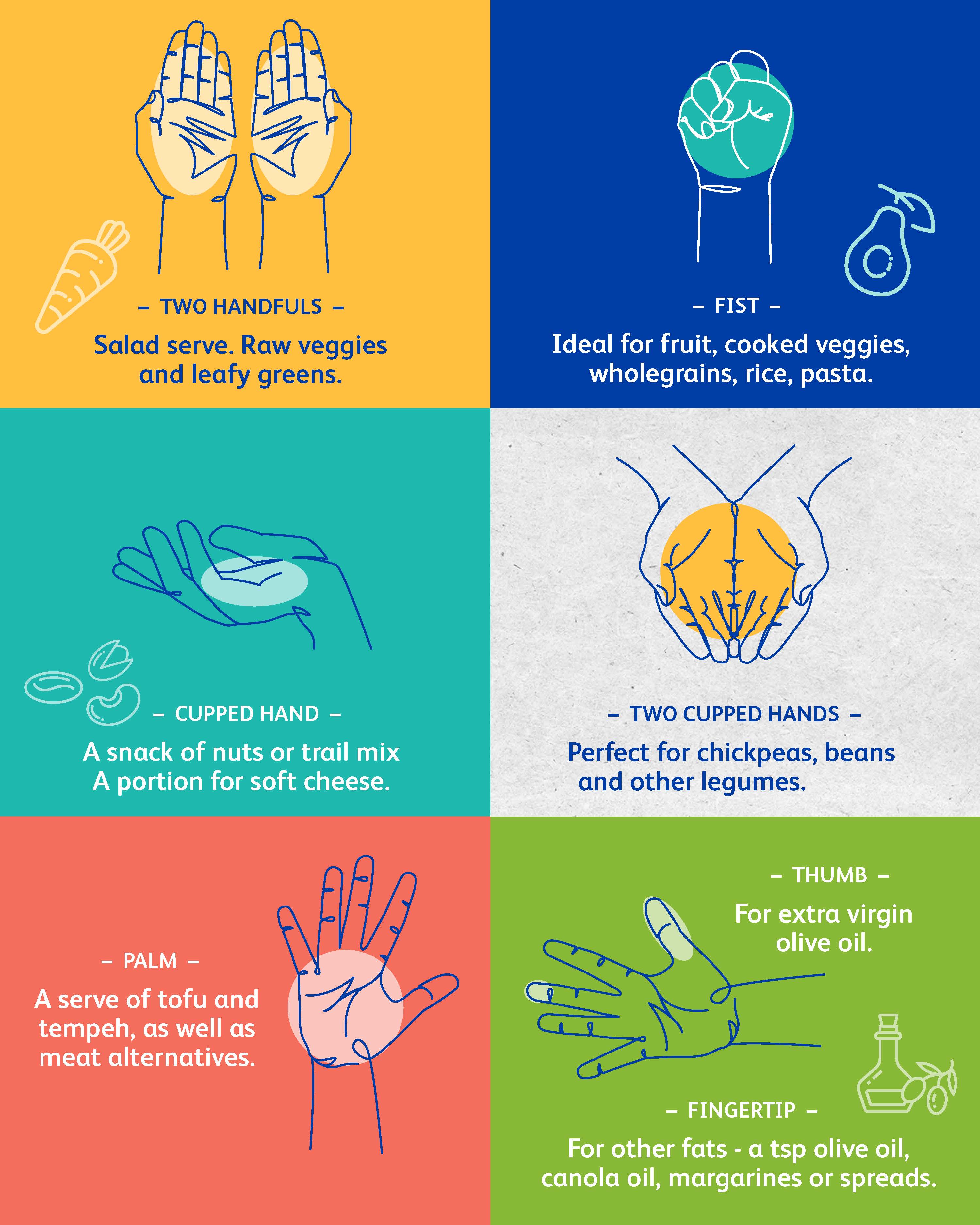 Handy Food Portions Magnets, Food Portion Sizes Guide