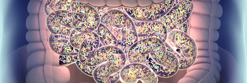 bacteria-in-your-gut-1180x400