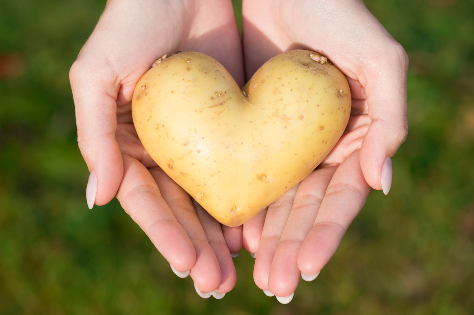 Sanitarium_WL_1_1800x1199 (2).jpg