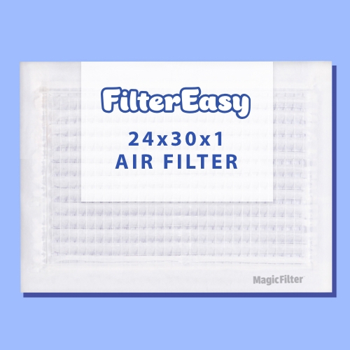 Air Filter 24x30x1 | FilterEasy