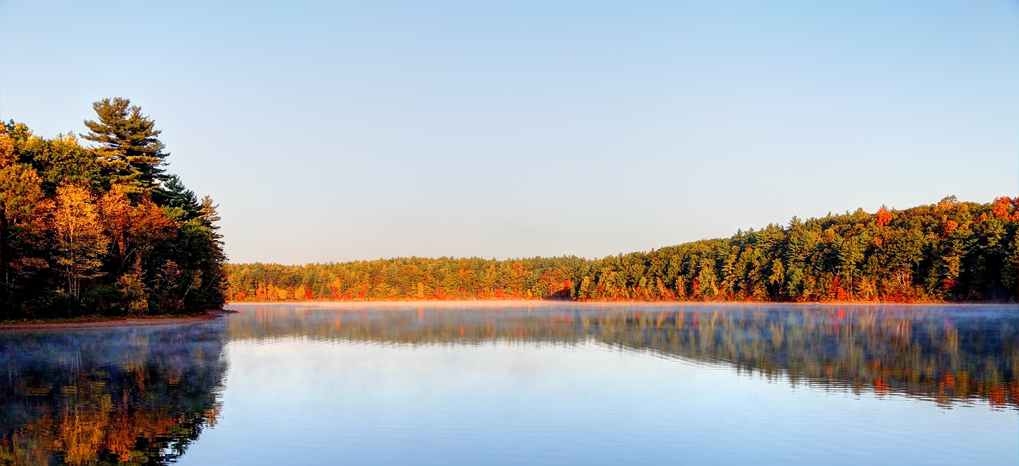 Walden Pond with trees in the background.