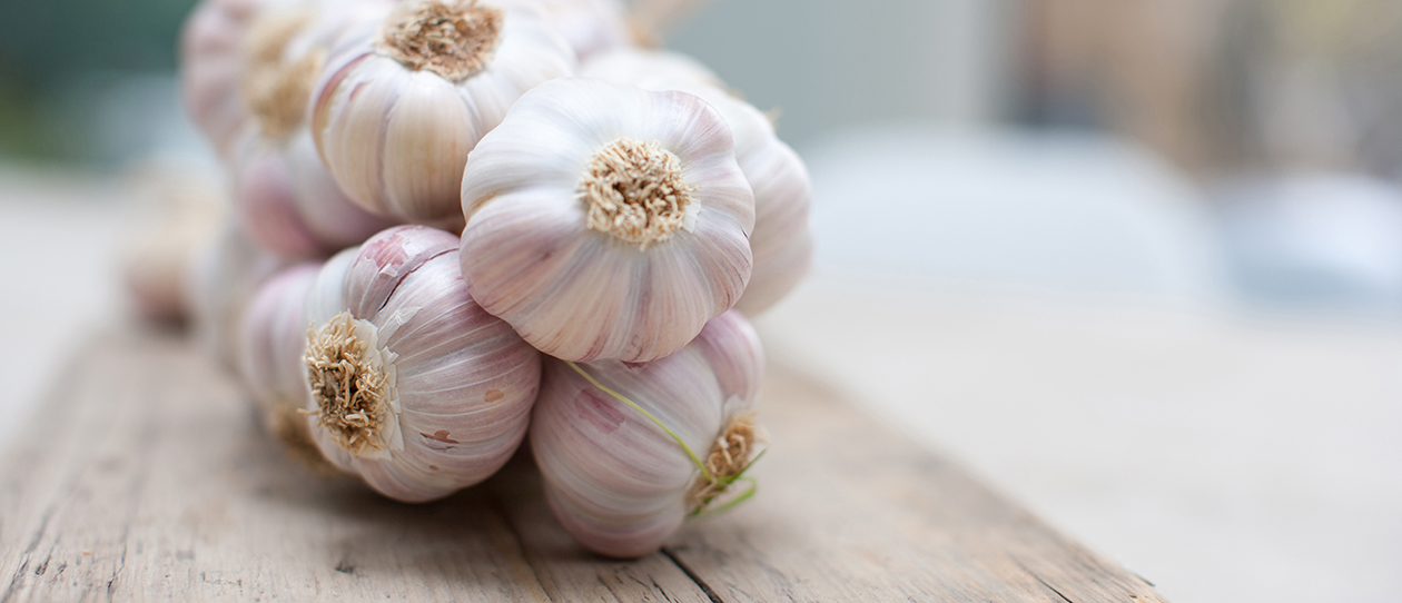 Garlic-rheumatoid-arthritis_1260x542.jpg