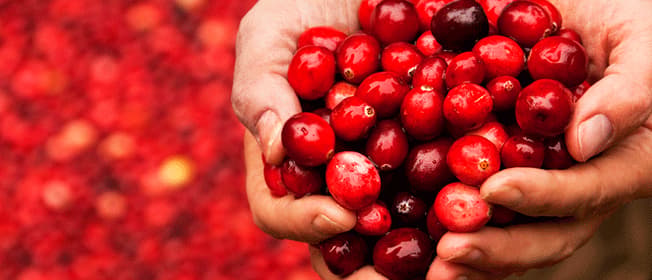 cranberry-complementary-medicine-ingredient-blackmores-institute-663x285.gif