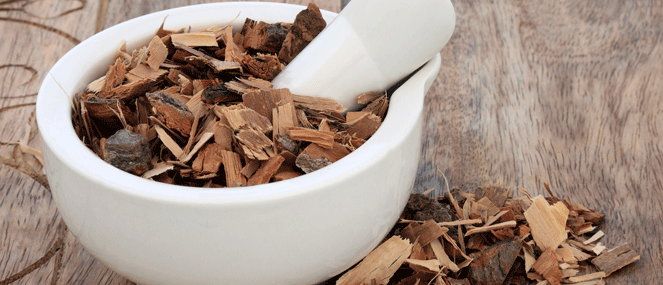 saw-palmetto-complementary-ingredient-blackmores-institute-663x285.gif
