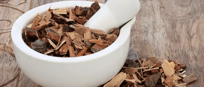 saw-palmetto-complementary-ingredient-blackmores-institute-663x285.gif