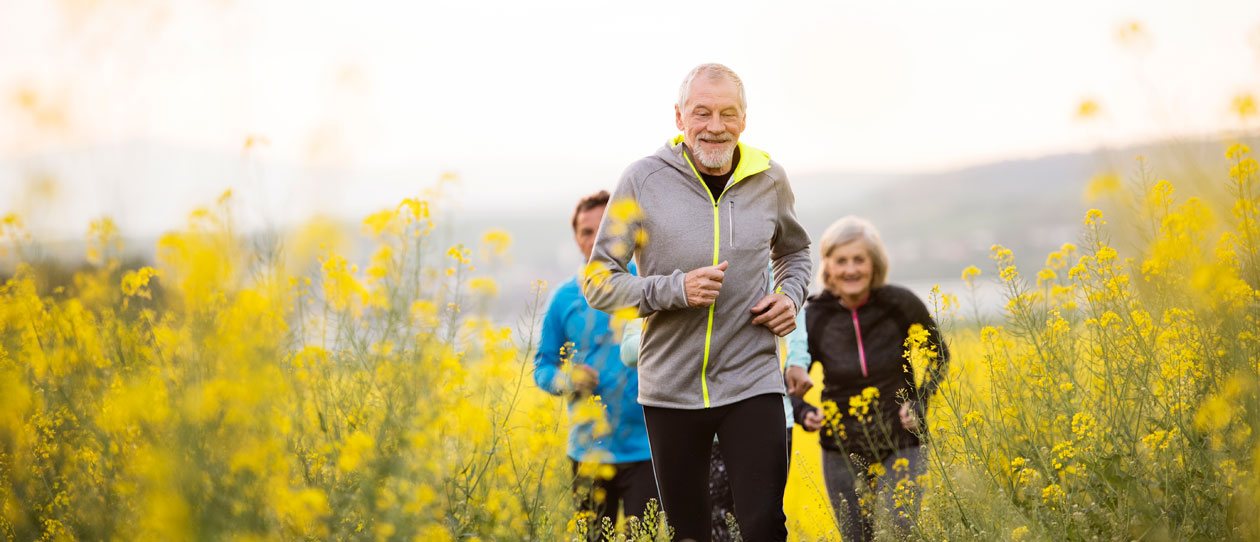 FOCUS-DHA-Osteoarthritis-painWebMain_1260x542.jpg
