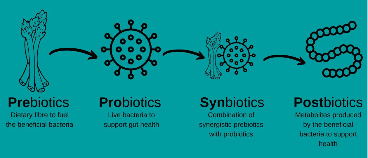 Postbiotics 1260x542.jpg