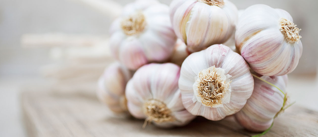 garlic-anti-infectivewebmain_1260x542.jpg