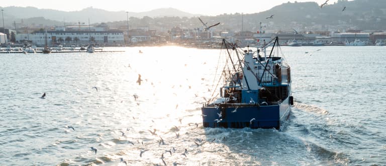 Sustainable Fish Oil | Blackmores